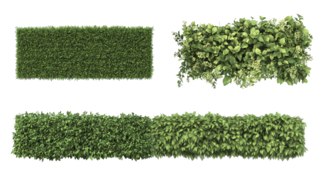 Assorted Long Hedges Arranged in a Neat Layout on a White Background Generative AI