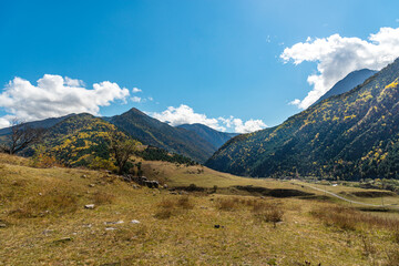 view of lush green meadows and wooded mountain slopes, against a clear saturated blue sky with clouds.
