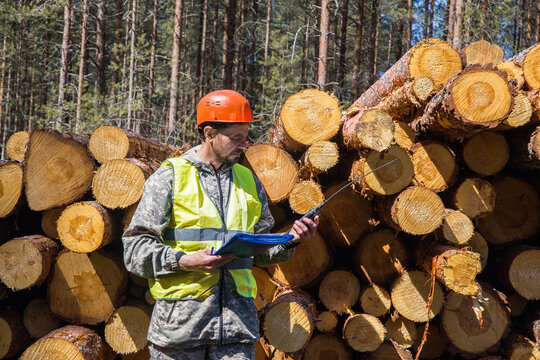 A man in work clothes works in the forest. A logging industry worker with a walkie-talkie in his hand.