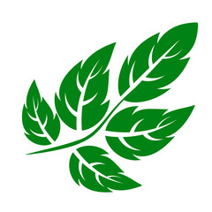 shape collection different green leaves of tree, plants, leaf and swirls branches. Stock vector icon, isolated white background. Element for ecographic, natural design, vegan logo, bio labels