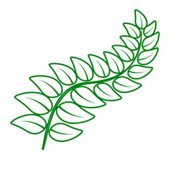 contour collection different green leaves of tree, plants, leaf and swirls branches. Stock vector icon, isolated white background. Element for ecographic, natural design, vegan logo, bio labels