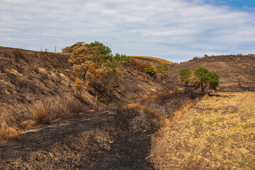 A burnt field after harvest. Nagorno-Karabakh, Azerbaijan.