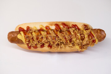 Gourmet Hot Dog featuring Crispy Toppings along with a delicious Sauce for extra flavor