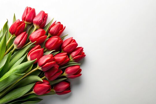 red fresh spring tulips bouquet on white background