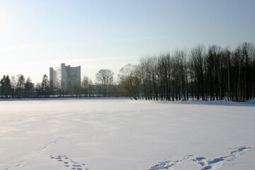 Winter landscape with a frozen lake in the city park on a sunny day