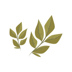 Vector cartoon rowan leaf. Isolated illustration for card, postcard, cover. EPS 10