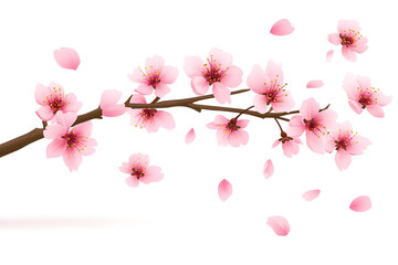 A vector illustration of a cherry blossom branch with pink petals gently falling, isolated on a white background