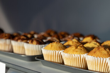 Temptation of chocolate covered wheat muffins displayed on a retail bakery counter, for a birthday event indulgence, in preparation for desserts