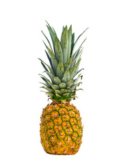 Fototapeta premium One Pineapple fruit isolated
