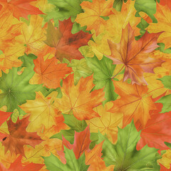 autumn coloured leaves background