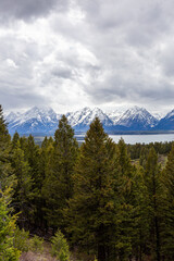 Majestic Grand Teton Mountains in Springtime, Wyoming Landscape