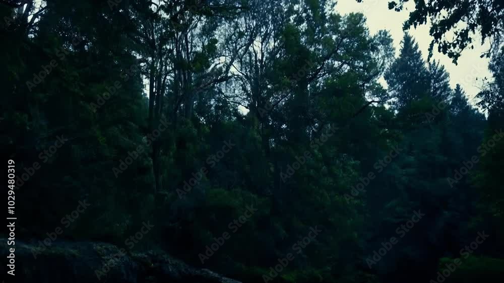 Poster Water is rushing over rocks in this dark and moody image of a river flowing through a forest as the sky begins to show the last light of day
