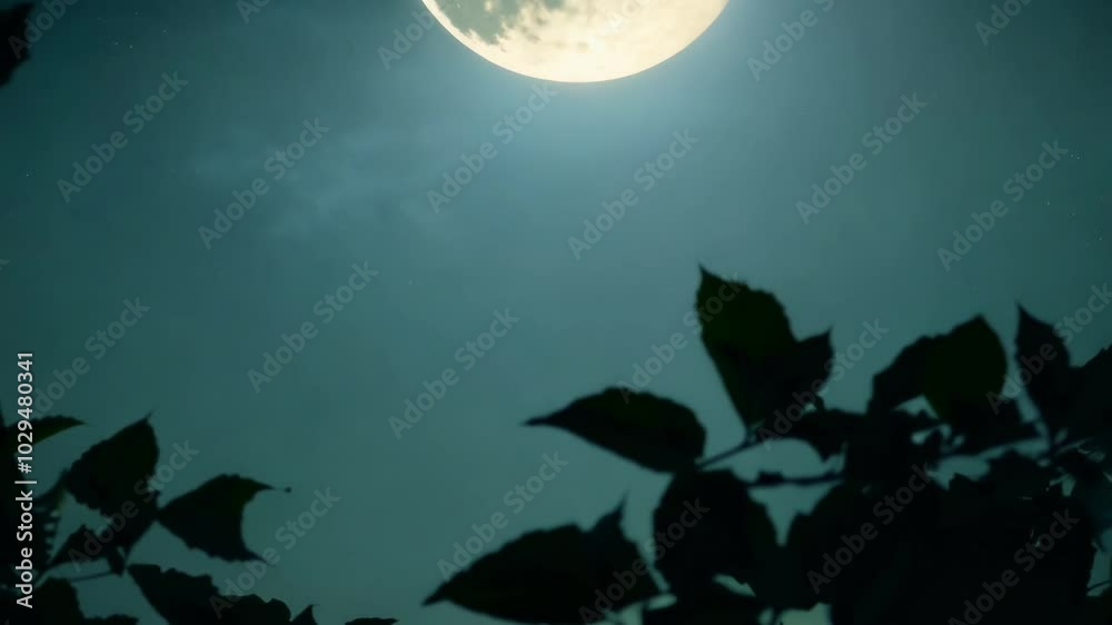 Poster silhouettes of leaves are illuminated by the last light of the setting sun, creating a sense of myst