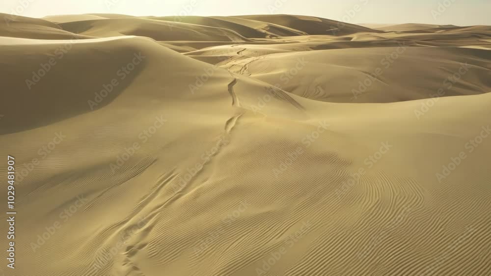 Poster winding tire tracks cross vast desert sand dunes on a sunny day, creating mesmerizing patterns in th