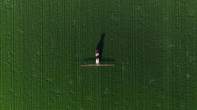 Agricultural tractor with crop sprayer applying fungicide treatment on wheat crops in spring, aerial view from drone pov, 4K