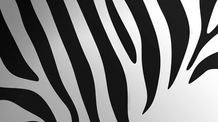 Fototapeta premium Zebra stripes close-up on white wall, black and white background