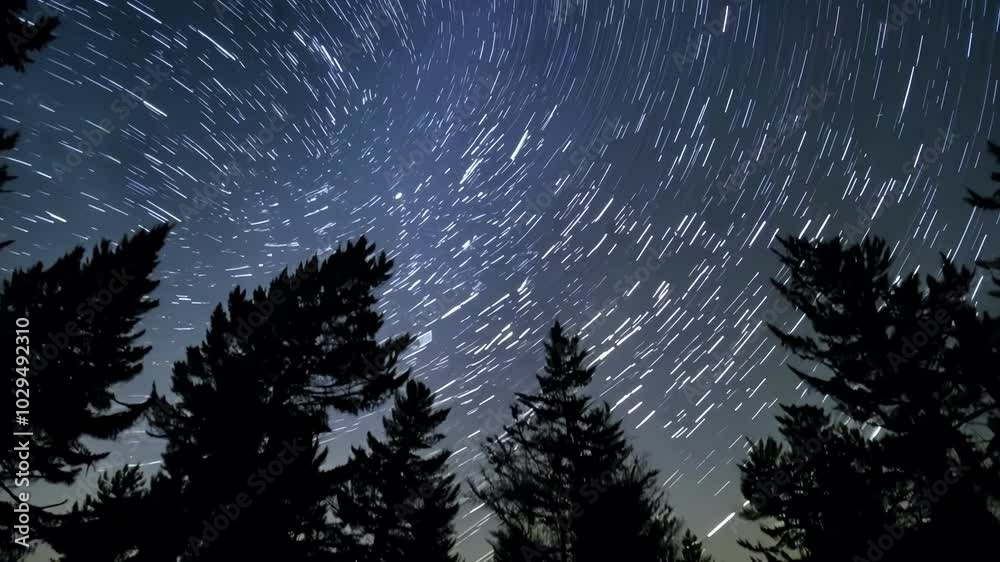 Poster Captivating night sky with star trails above dense evergreen forest, creating mesmerizing effect. Dark tree silhouettes against starry backdrop make serene scene
