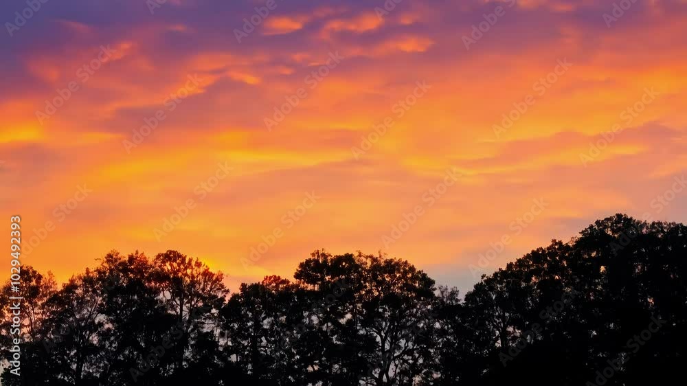 Poster Beautiful and colorful sunset with clouds creating a gradient of purple and orange, an awe inspiring natural phenomenon