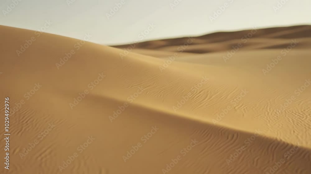 Poster sunlight illuminating the sand dunes creating a beautiful natural pattern on the slopes of the sand 