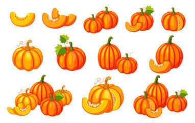 Set of fresh pumpkins in cartoon style.Vector illustration of yellow and orange pumpkins of different sizes and shapes, with seeds, halves, whole, in section, with tendrils, stems and leaves. Harvest.