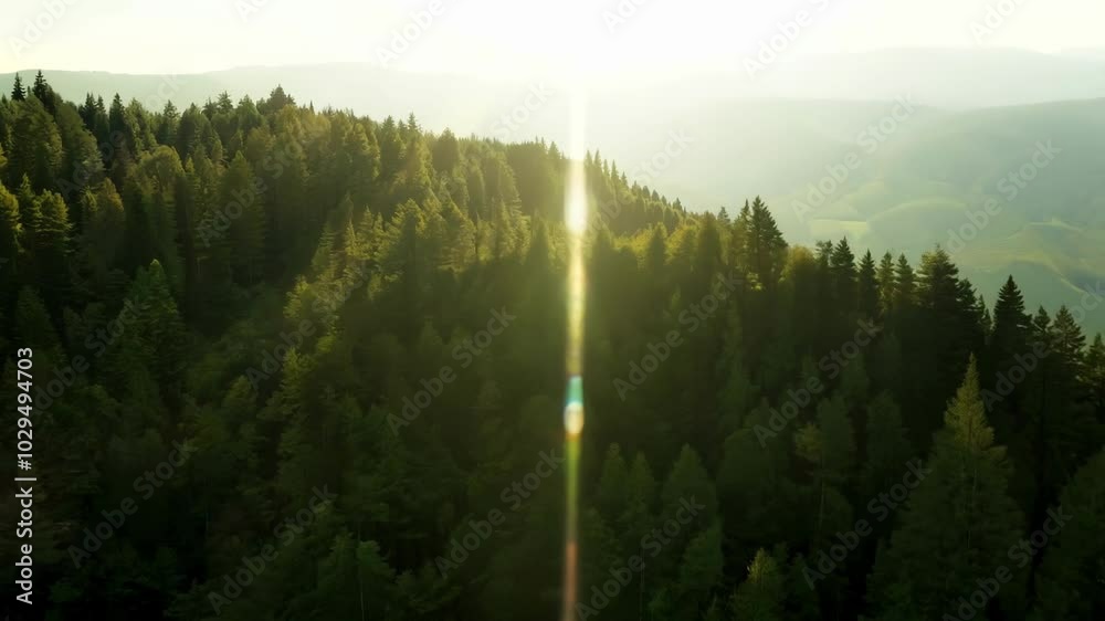 Poster the sun sets behind mountains, casting a warm glow on trees and mountainside, with sunlight streamin
