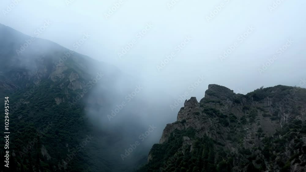 Poster dense fog is rolling through a mountain valley, creating an eerie and mysterious atmosphere as the p