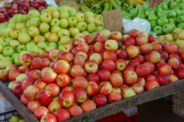 Colorful Assortment of Fresh Apples at a Vibrant Market Stall on a Sunny Afternoon