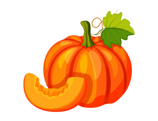 Pumpkins in cartoon style. Vector illustration of orange pumpkin, with seeds, whole, slice, in section, with tendril, stem and green leaves isolated on white background. Autumn harvest.