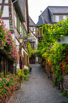 Old narrow European street with colorful flowers and grapevines in R&uuml;desheim am Rhein, Germany