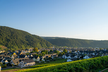 Cityscape sunset view of the town of Winningen, Germany with picturesque grape vineyards