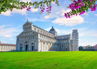 Pink flowers in Pisa