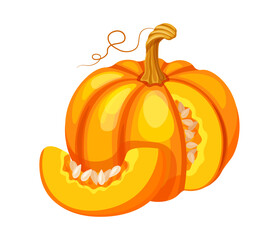 Delicious pumpkin in cartoon style. Vector illustration of yellow pumpkin with seeds, whole, piece, cut, with tendril isolated on white background. Autumn harvest.