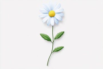 A beautiful daisy flower with white petals and yellow center on a white background.