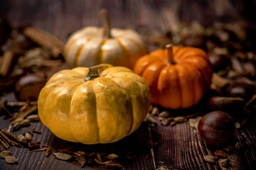 Pumpkins on Wooden Surface with Autumn Tones, Seeds.