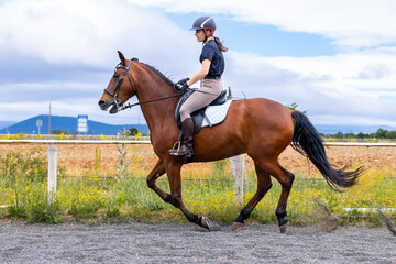 rider on horseback in outdoor arena