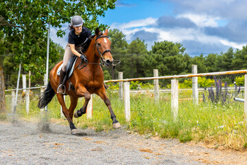 Woman galloping on a brown horse in an outdoor arena