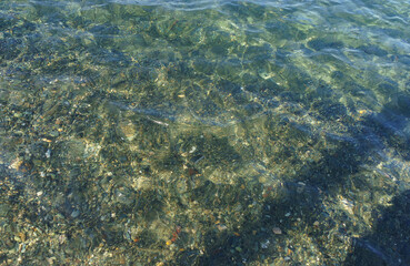 Crystal Clear Waters Revealing a Rocky Seabed Under Bright Sunlight at a Tranquil Beach in Summer