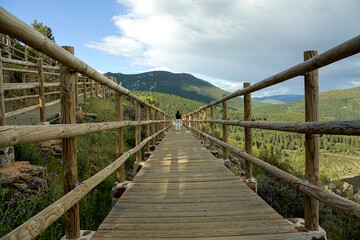 Wood footbridge in a nature environment