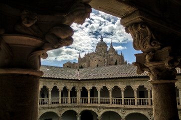 Singular view of Salamanca cathedral
