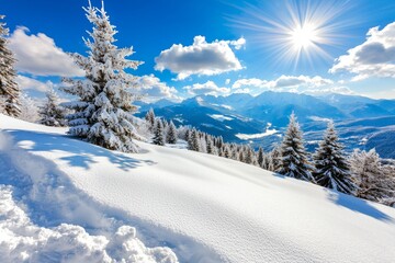 Obraz premium Carpathian mountains, winter landscape with footprints in snow following a path through fir woods and glades.
