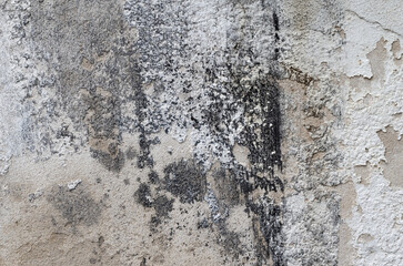 Background Texture Black And White Old Wall