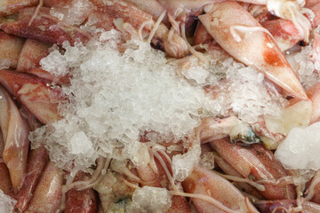 Fresh squid on ice at a fish market
