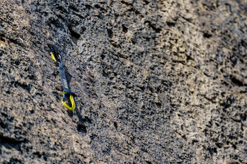 A climbing quickdraw attached to a belay point on a rock