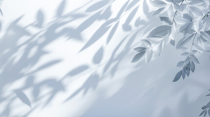 Obraz premium A minimalist light background featuring blurred foliage shadows on a white wall creates a clean slate, ideal for presentations.