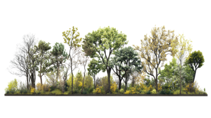 A diverse collection of trees showcasing seasonal changes from barren winter branches to vibrant spring blossoms, highlighting nature's transformation.
