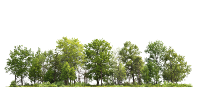 Scenic view of a lush green tree line on a clear day, highlighting the beauty of nature and tranquility. Perfect for nature-themed projects.