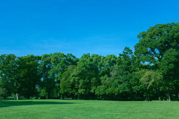 Green Park