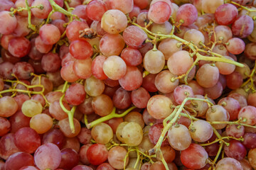 A close-up of red grapes with stems, showcasing their plump, juicy appearance