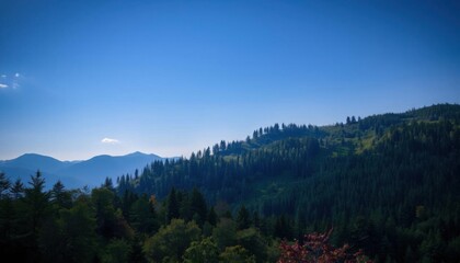 arafed view of a mountain with a forest and a blue sky, mountain forest in background, carpathian mountains, overlooking a vast serene forest, forest on the horizont