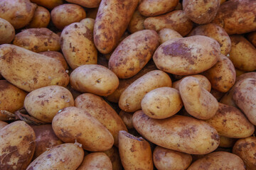 A pile of fresh, brown potatoes are ready for cooking